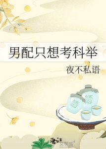 男配只想考科舉